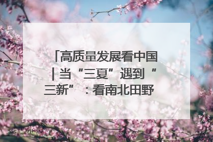 高质量发展看中国｜当“三夏”遇到“三新”：看南北田野里的科技共生记