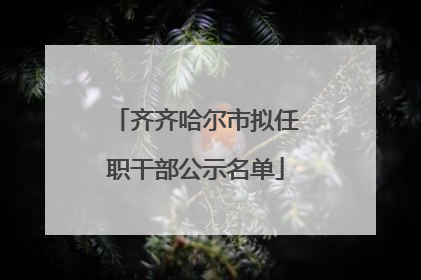 齐齐哈尔市拟任职干部公示名单
