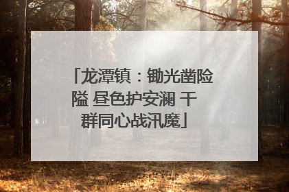 龙潭镇：锄光凿险隘 昼色护安澜 干群同心战汛魔