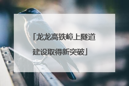 龙龙高铁嶂上隧道建设取得新突破