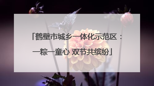 鹤壁市城乡一体化示范区：一粽一童心 双节共缤纷