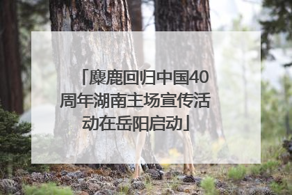 麋鹿回归中国40周年湖南主场宣传活动在岳阳启动