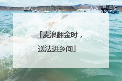 麦浪翻金时，送法进乡间