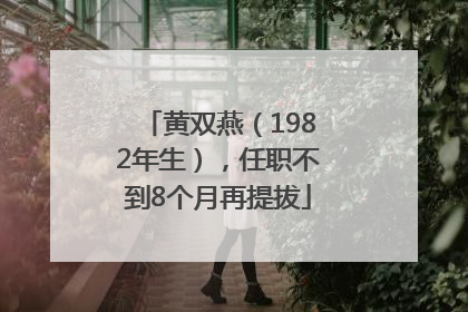 黄双燕（1982年生），任职不到8个月再提拔