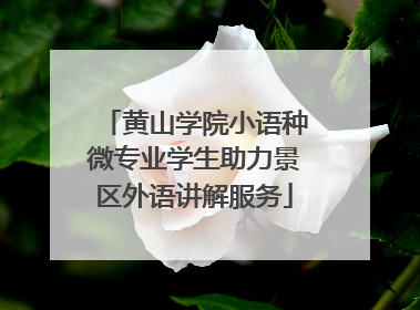 黄山学院小语种微专业学生助力景区外语讲解服务