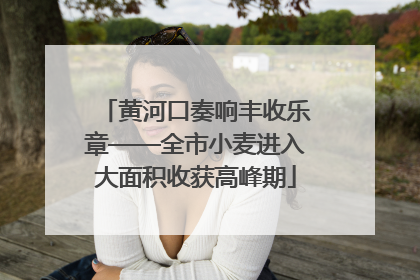 黄河口奏响丰收乐章——全市小麦进入大面积收获高峰期