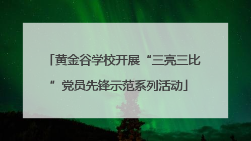 黄金谷学校开展“三亮三比”党员先锋示范系列活动