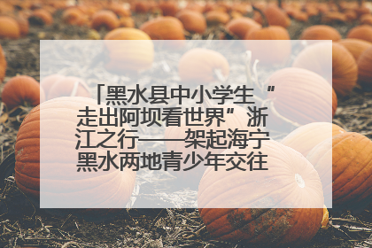 黑水县中小学生“走出阿坝看世界”浙江之行——架起海宁黑水两地青少年交往交流交融新桥梁