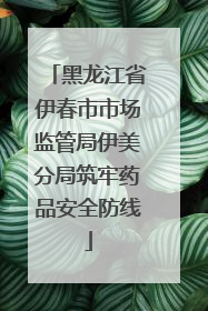 黑龙江省伊春市市场监管局伊美分局筑牢药品安全防线
