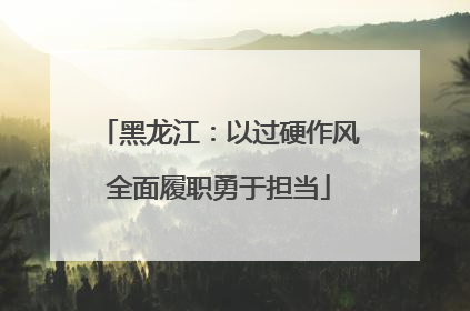 黑龙江：以过硬作风全面履职勇于担当