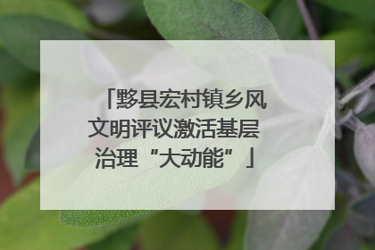 黟县宏村镇乡风文明评议激活基层治理“大动能”