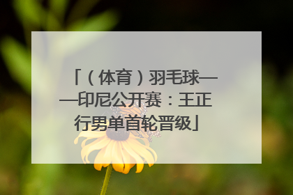 （体育）羽毛球——印尼公开赛：王正行男单首轮晋级
