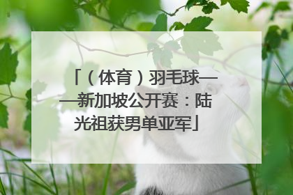 （体育）羽毛球——新加坡公开赛：陆光祖获男单亚军