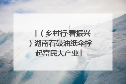 （乡村行·看振兴）湖南石鼓油纸伞撑起富民大产业