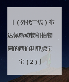 （外代二线）布达佩斯动物和植物园的西伯利亚虎宝宝（2）