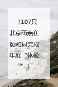 107只北京雨燕在颐和园完成年度“体检”