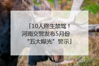 10人终生禁驾！河南交警发布5月份“五大曝光”警示