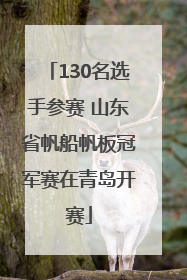 130名选手参赛 山东省帆船帆板冠军赛在青岛开赛