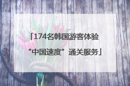 174名韩国游客体验“中国速度”通关服务