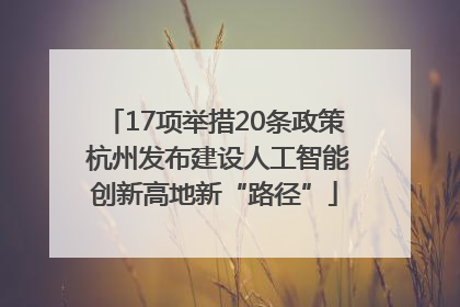 17项举措20条政策 杭州发布建设人工智能创新高地新“路径”