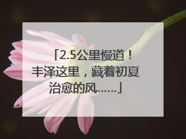 2.5公里慢道！丰泽这里，藏着初夏治愈的风……