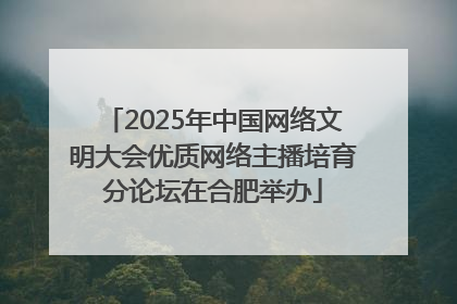 2025年中国网络文明大会优质网络主播培育分论坛在合肥举办