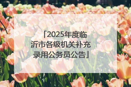 2025年度临沂市各级机关补充录用公务员公告