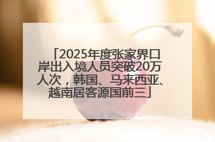 2025年度张家界口岸出入境人员突破20万人次，韩国、马来西亚、越南居客源国前三