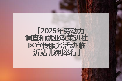 2025年劳动力调查和就业政策进社区宣传服务活动·临沂站 顺利举行
