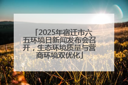 2025年宿迁市六五环境日新闻发布会召开，生态环境质量与营商环境双优化
