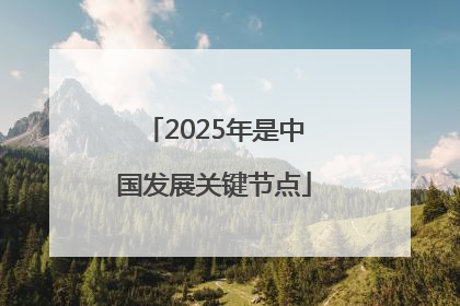 2025年是中国发展关键节点