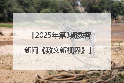2025年第3期数智新闻《数文新视界》