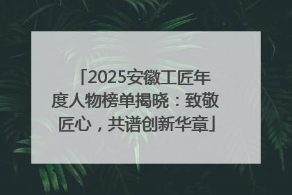 2025安徽工匠年度人物榜单揭晓：致敬匠心，共谱创新华章