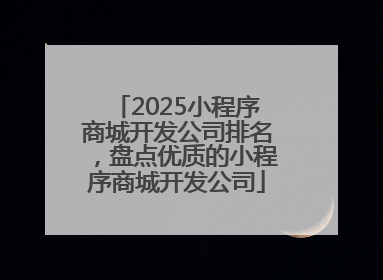 2025小程序商城开发公司排名，盘点优质的小程序商城开发公司