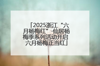 2025浙江“六月杨梅红”·仙居杨梅季系列活动开启 六月杨梅正当红