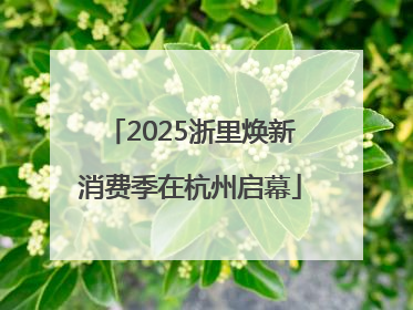 2025浙里焕新消费季在杭州启幕