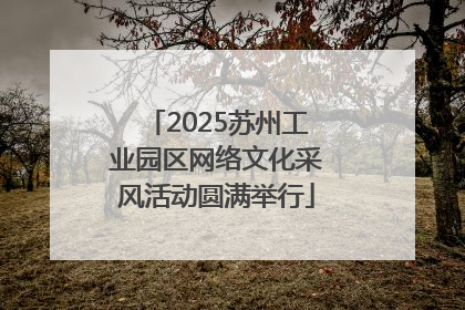 2025苏州工业园区网络文化采风活动圆满举行