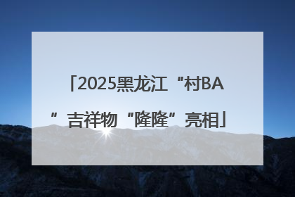 2025黑龙江“村BA”吉祥物“隆隆”亮相