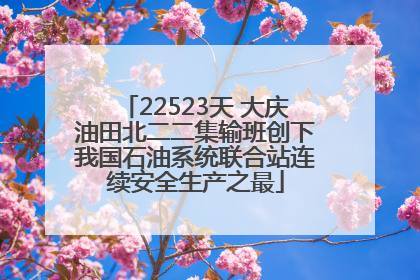 22523天 大庆油田北二二集输班创下我国石油系统联合站连续安全生产之最