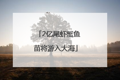 2亿尾虾蟹鱼苗将游入大海