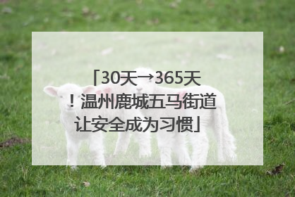 30天→365天！温州鹿城五马街道让安全成为习惯