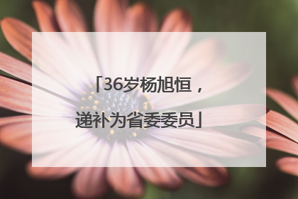 36岁杨旭恒，递补为省委委员