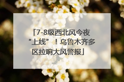 7-8级西北风今夜“上线”！乌鲁木齐多区拉响大风警报