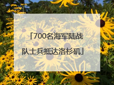 700名海军陆战队士兵抵达洛杉矶
