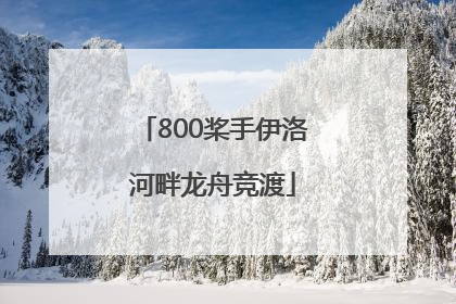 800桨手伊洛河畔龙舟竞渡