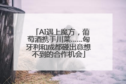 AI遇上魔方，葡萄酒携手川菜……匈牙利和成都碰出意想不到的合作机会