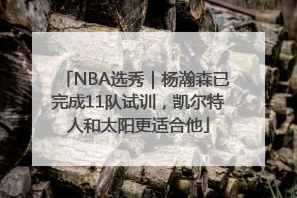 NBA选秀｜杨瀚森已完成11队试训，凯尔特人和太阳更适合他