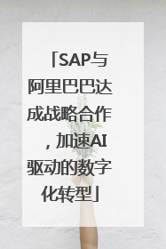 SAP与阿里巴巴达成战略合作，加速AI驱动的数字化转型